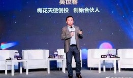 创投大佬爆料视频大全最新,揭秘投资界风云变幻