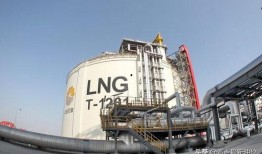 lng最新爆料,揭秘娱乐圈最新动态与幕后真相